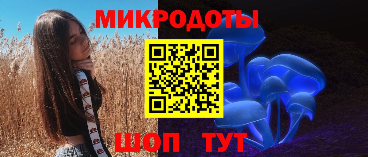 Псилоцибиновые грибы Magic Shrooms Северобайкальск