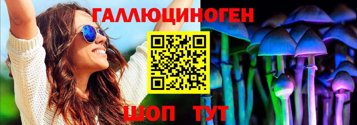 Северобайкальск  где найти   Вход с VPN  Галлюциногенные грибы GOLDEN TEACHER 